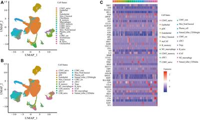 Multi-Omics Characterization of Tumor Microenvironment Heterogeneity and Immunotherapy Resistance Through Cell States–Based Subtyping in Bladder Cancer